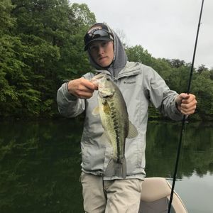 Meet your Posher, Austin